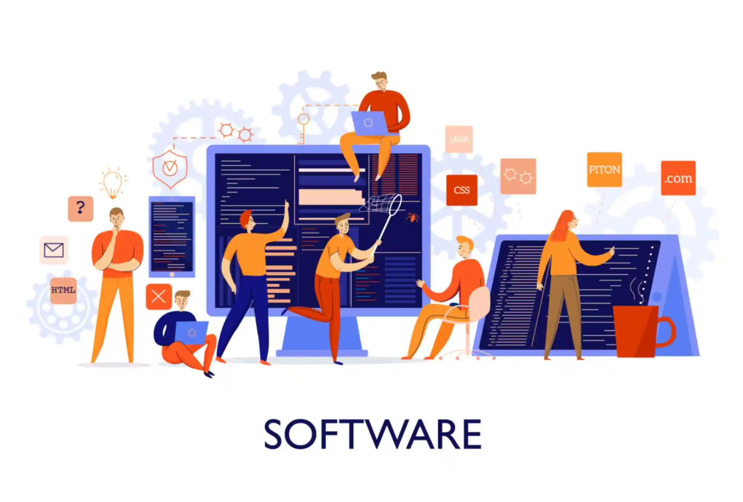 Software Development services by Social Partners